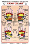 Hand Reflexology Anatomical Chart